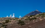 Santa Cruz de Tenerife