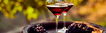 Análisis sensorial de vinos