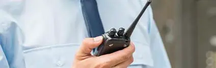 Director de seguridad