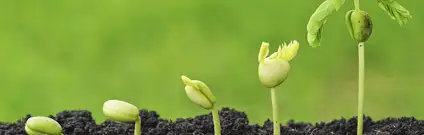 Explotaciones agrarias en agricultura ecológica