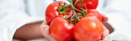 Sistema APPCC y prácticas correctas de higiene