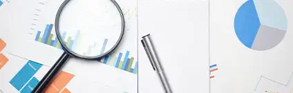 Microsoft Excel 2016 básico