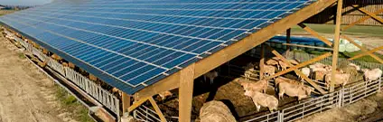 Energías renovables en el sector agrario