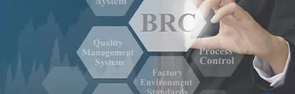 Implantación del protocolo BRC versión 8