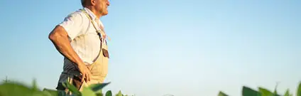 Control de plagas y enfermedades en agricultura ecológica