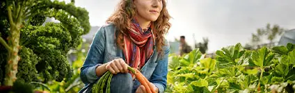 El suelo como núcleo de la sostenibilidad agrícola