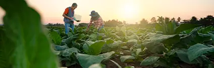 Modificaciones legislativas de referencia en el sector agrario