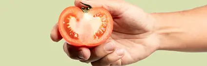 Manipulador de alimentos