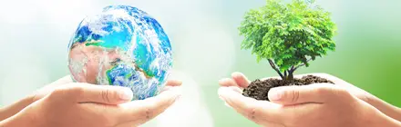 Sistemas de gestión ambiental