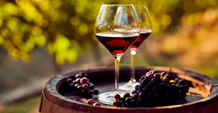 Análisis sensorial de vinos