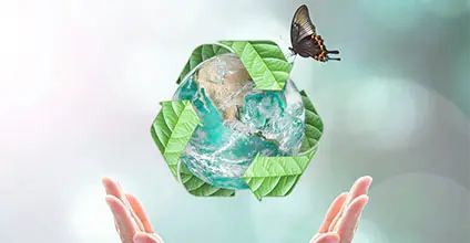 Auditoría medioambiental