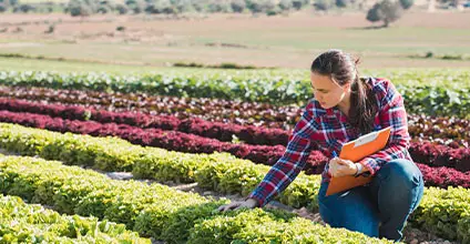 Gestión e incorporación a la empresa agraria