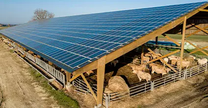 Energías renovables en el sector agrario