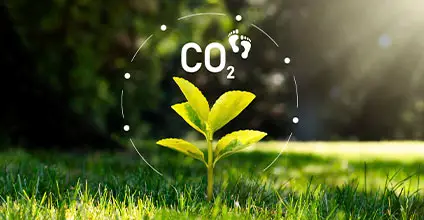 Cambio climático y huella de carbono