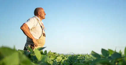 Control de plagas y enfermedades en agricultura ecológica