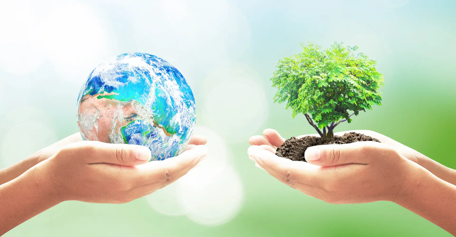 Sistemas de gestión ambiental