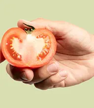 Manipulador de alimentos