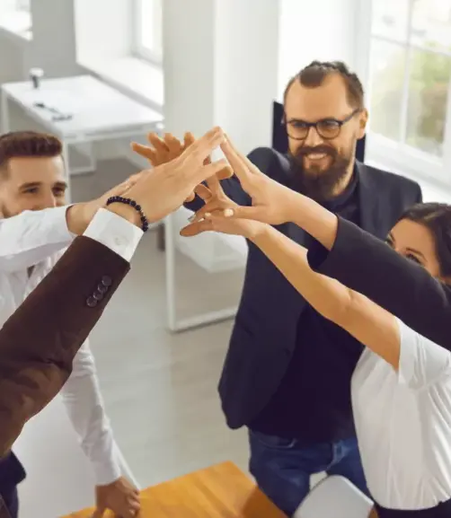 Liderazgo, organización del trabajo en equipo y solución de problemas