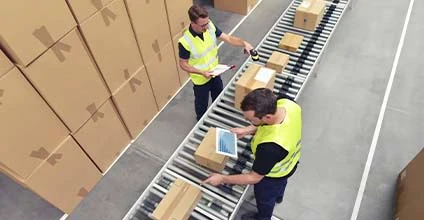 Distribución capilar