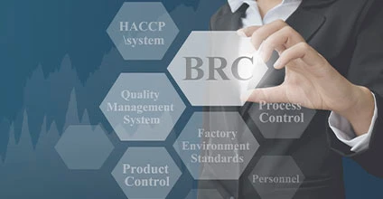 Implantación del protocolo BRC versión 8