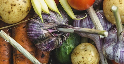 Defensa contra plagas y enfermedades en agricultura ecológica