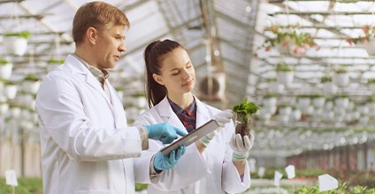 I+D+I en la industria alimentaria