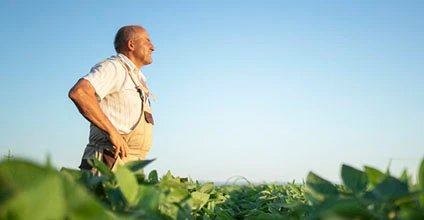 Control de plagas y enfermedades en agricultura ecológica