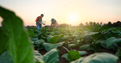 Modificaciones legislativas de referencia en el sector agrario