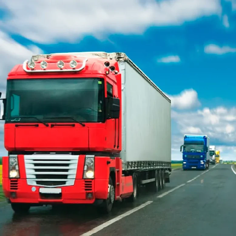 Formación en materia sujeción de cargas  (Formación complementaria CAP mercancías)