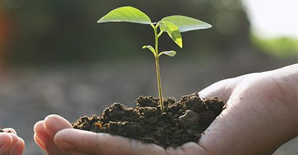 Formación gratuita en Condicionalidad y buenas prácticas agrarias