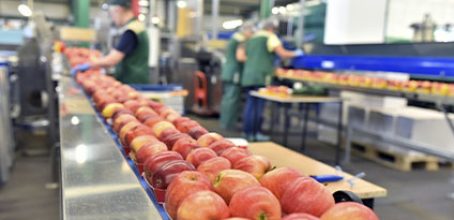 Curso de Food defense en Valencia – C/ Impresor Monfort