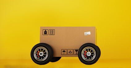 Organización del transporte y la distribucion