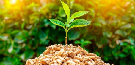 Curso de Energías Renovables: Especialidad Biomasa en Asturias