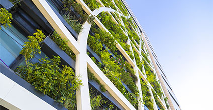 envolventes-vegetales-para-la-regeneracion-de-entornos-urbanos