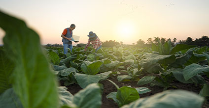 modificaciones-legislativas-de-referencia-en-el-sector-agrario